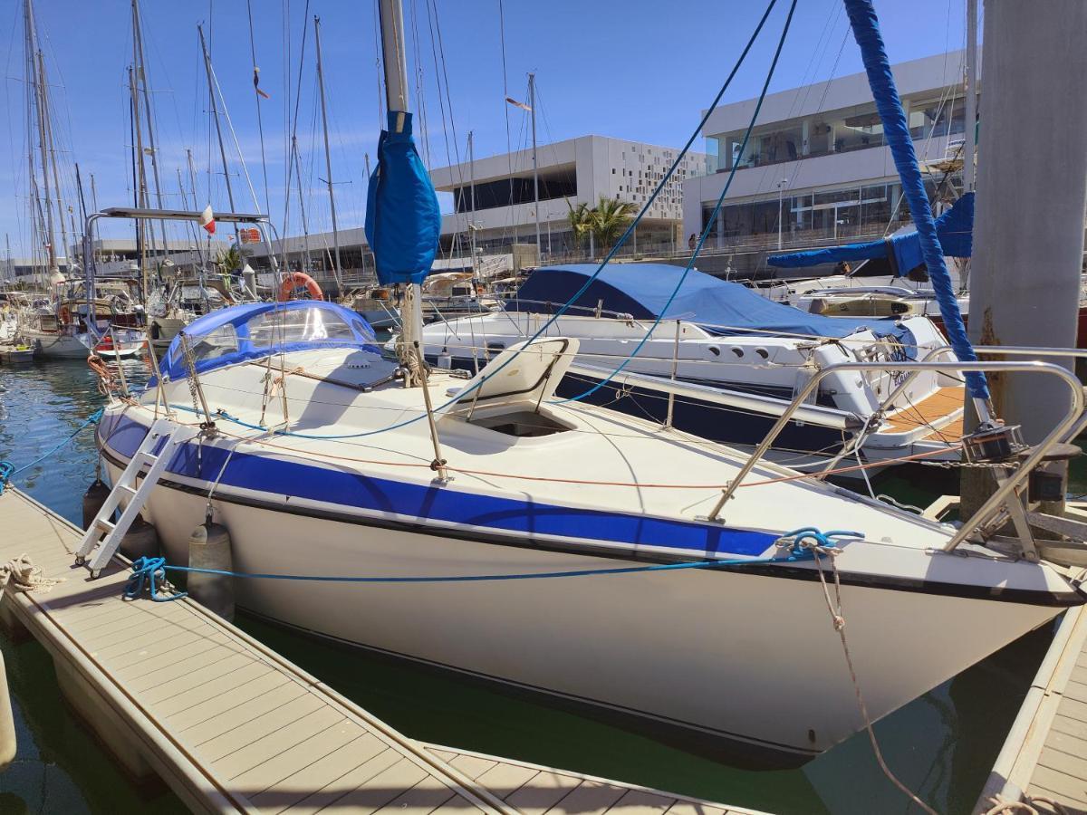 ホテル Lanzarote Pirat アレシフェ エクステリア 写真